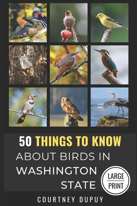 50 Things to Know about Birds - Large Print- 50 Things to Know About Birds in Washington State Large Print
