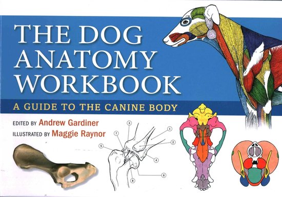 Dog Anatomy Workbook - cover