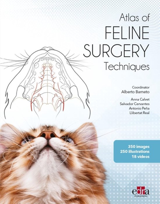 Feline surgery - cover