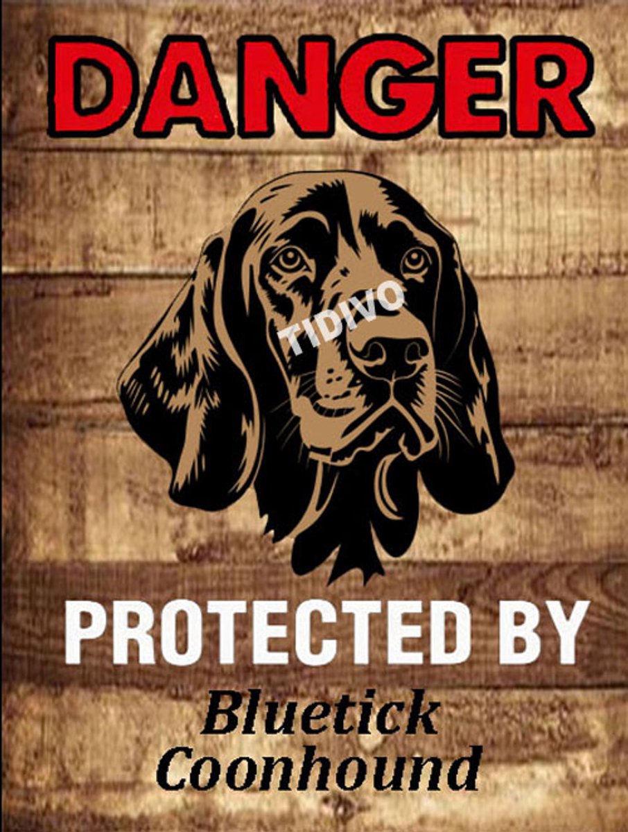 Bluetick Coonhound 19
