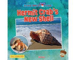 Home Sweet Amazing Home (Little Acorns)- Hermit Crab's New Shell