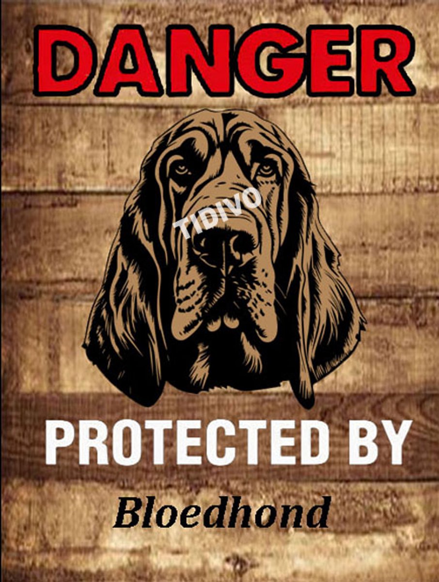 Bloedhond 19