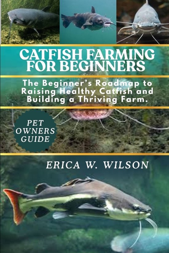 Catfish Farming for Beginners