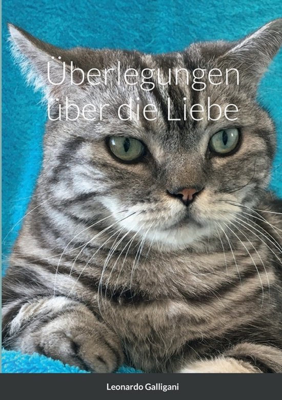 Überlegungen über die Liebe - cover