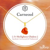 Bixorp Carneool Hartje Ketting - Goud Verguld S925 Zilver + Edelsteen Hanger - Spirituele Chakra Ketting met Cadeau Kaartje - 45cm + 5cm verstelbaar