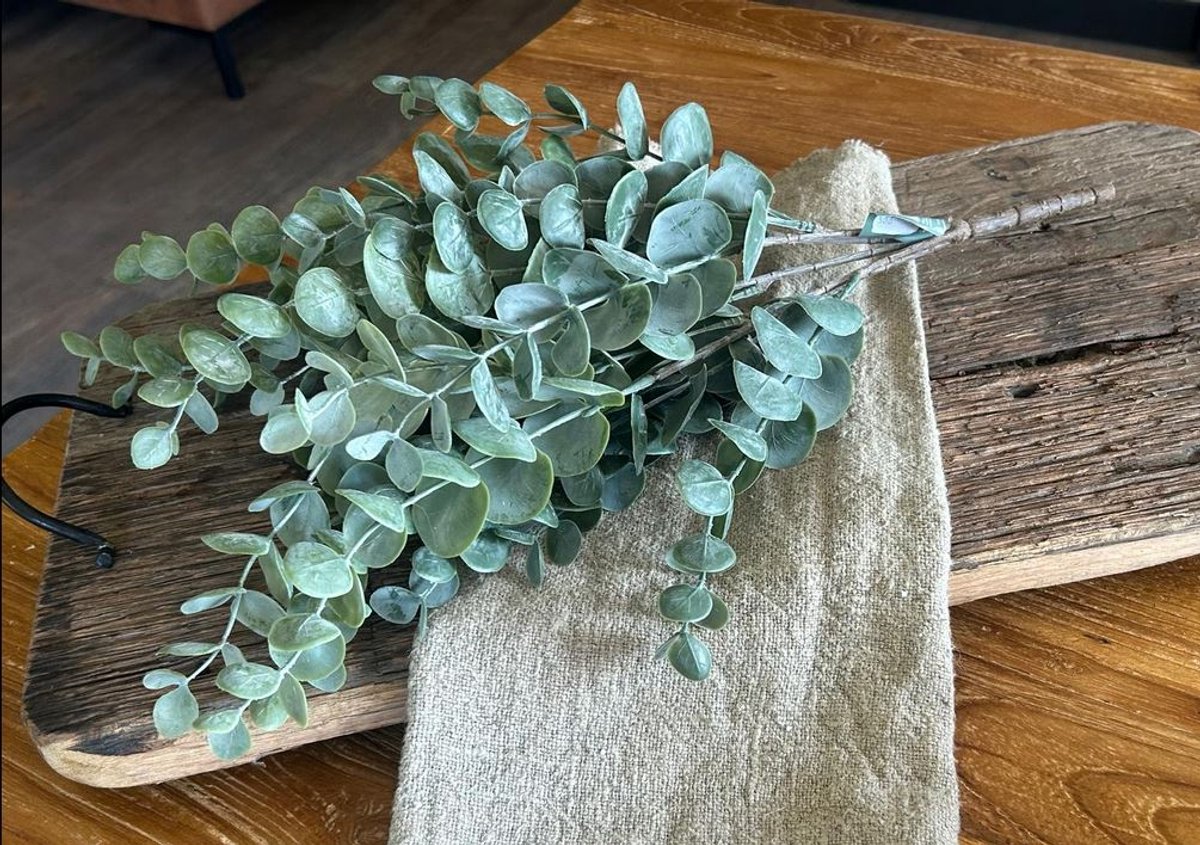 Brynxz - Eucalyptus Bush - Kunsttakken - Kunst Tak - Takken Woondecoratie - Decoratie - Luxe Kunstplant - Kunstplanten - Green 50 cm