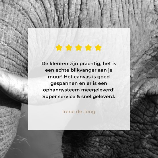 Canvas schilderij - Wilde dieren - Olifanten - Zwart - Wit - Woonkamer - Canvas - 40x80 cm - Muurdecoratie - Canvas doek