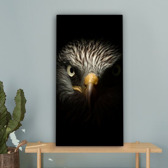 Tableau sur toile Vogel - Aigle - Rapaces - Oeil - Bec - Lumière - 40x80 cm - Décoration murale
