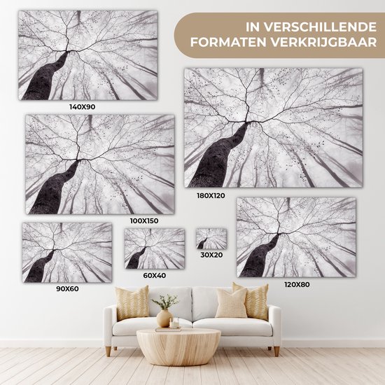 Peinture sur toile - Arbres - Brouillard - Nature - Forêt - Canvasdoek - Décoration murale - Photo sur toile - 30x20 cm - Peintures sur toile