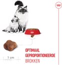 Moederpoes en kitten bij een rode voerbak. De tekst luidt 'OPTIMAAL GEPROPORTIONEERDE BROKKEN'.