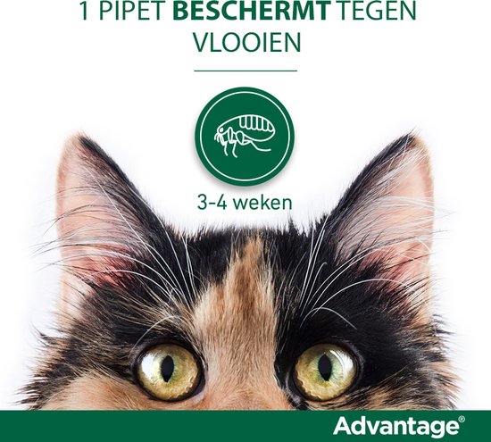 Advantage 40 Vlooiendruppels Kat tot 4 kg - 4 Pipetten