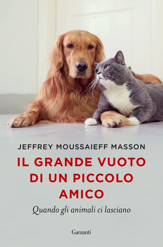 Il grande vuoto di un piccolo amico - cover