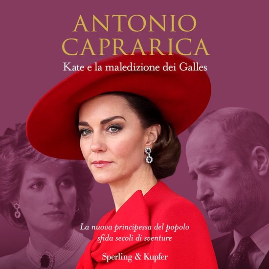 Kate e la maledizione dei Galles - cover