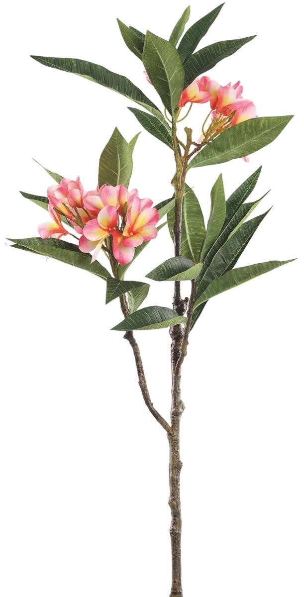 PTMD Plumeria Kunstbloem - 72 x 25 x 110 cm - Kunststof - Roze