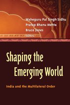 Shaping the Emerging World