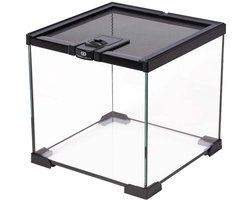 Terra Della Glazen terrarium 20 x 20 x 20CM met waterdichte bodem en ventilatierooster