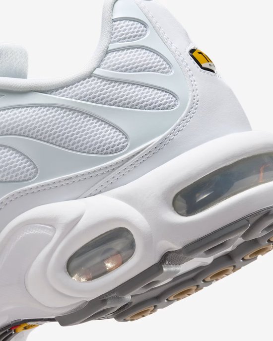 nike air max plus size 13