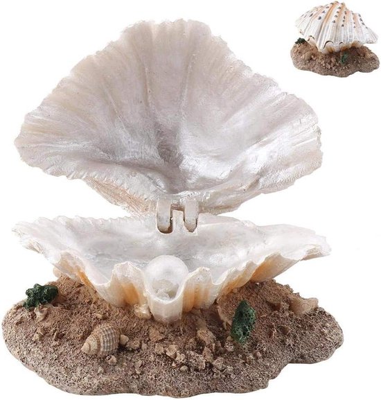 Aquarium decoratie | | Premium aquarium garnalen