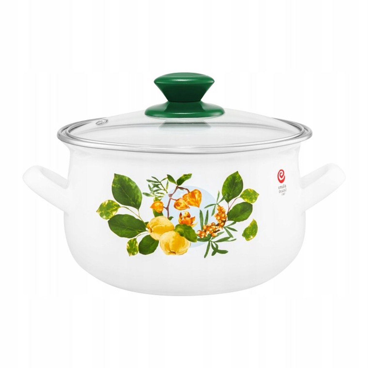 Emalieren Pan 24cm 6L met Deksel - Geschikt voor Inductie