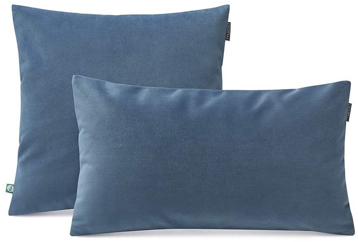 Sierkussens Fluweel Blauw 30x50 cm