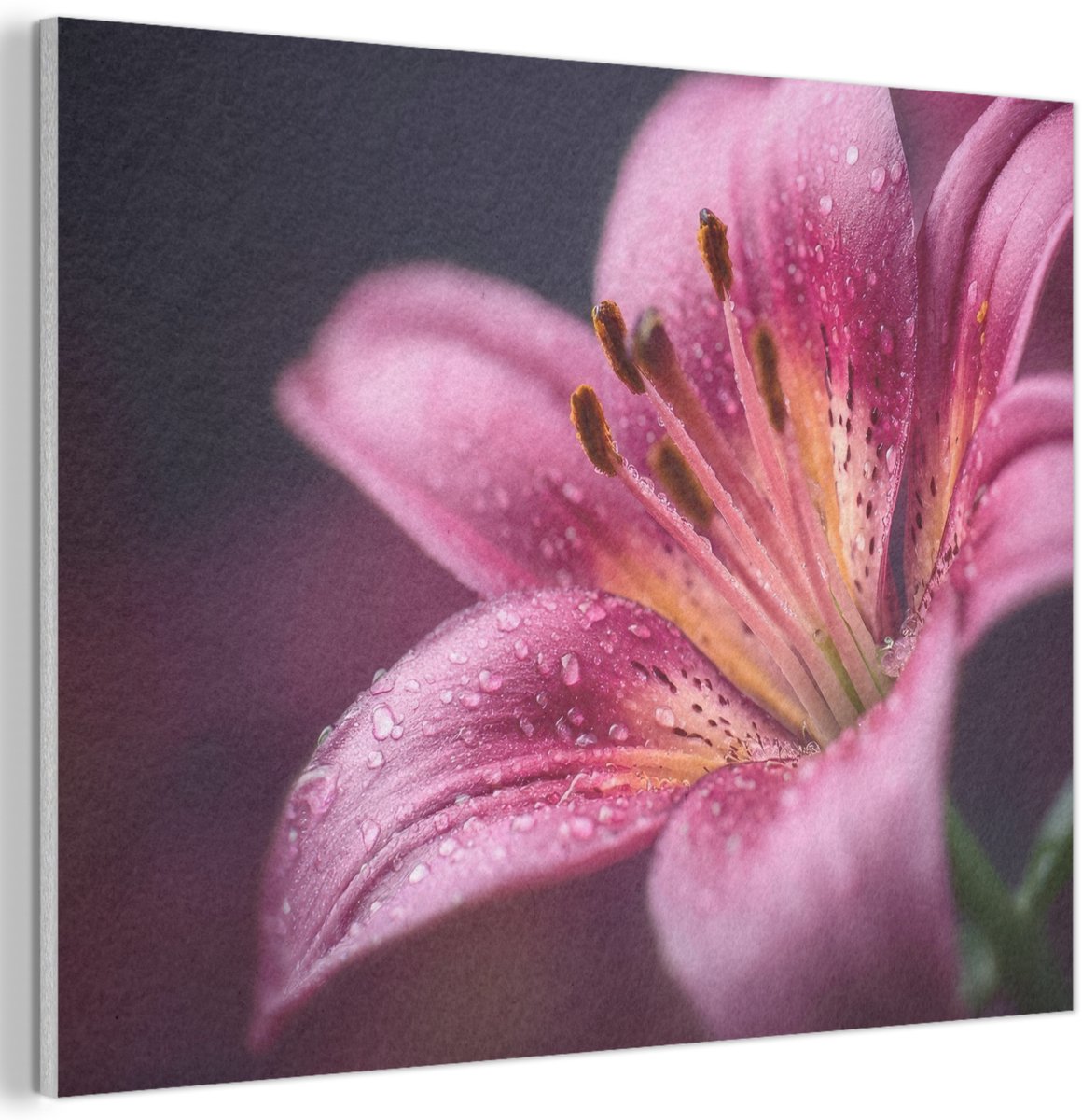 Akoestisch wandpaneel 40x30 cm - Vilt schilderij Roze - lelie - Dauwdruppels - Akoestische panelen - Geluidsdempende wanddecoratie - Geluidsisolatie woonkamer - Muurdecoratie geluidspanelen