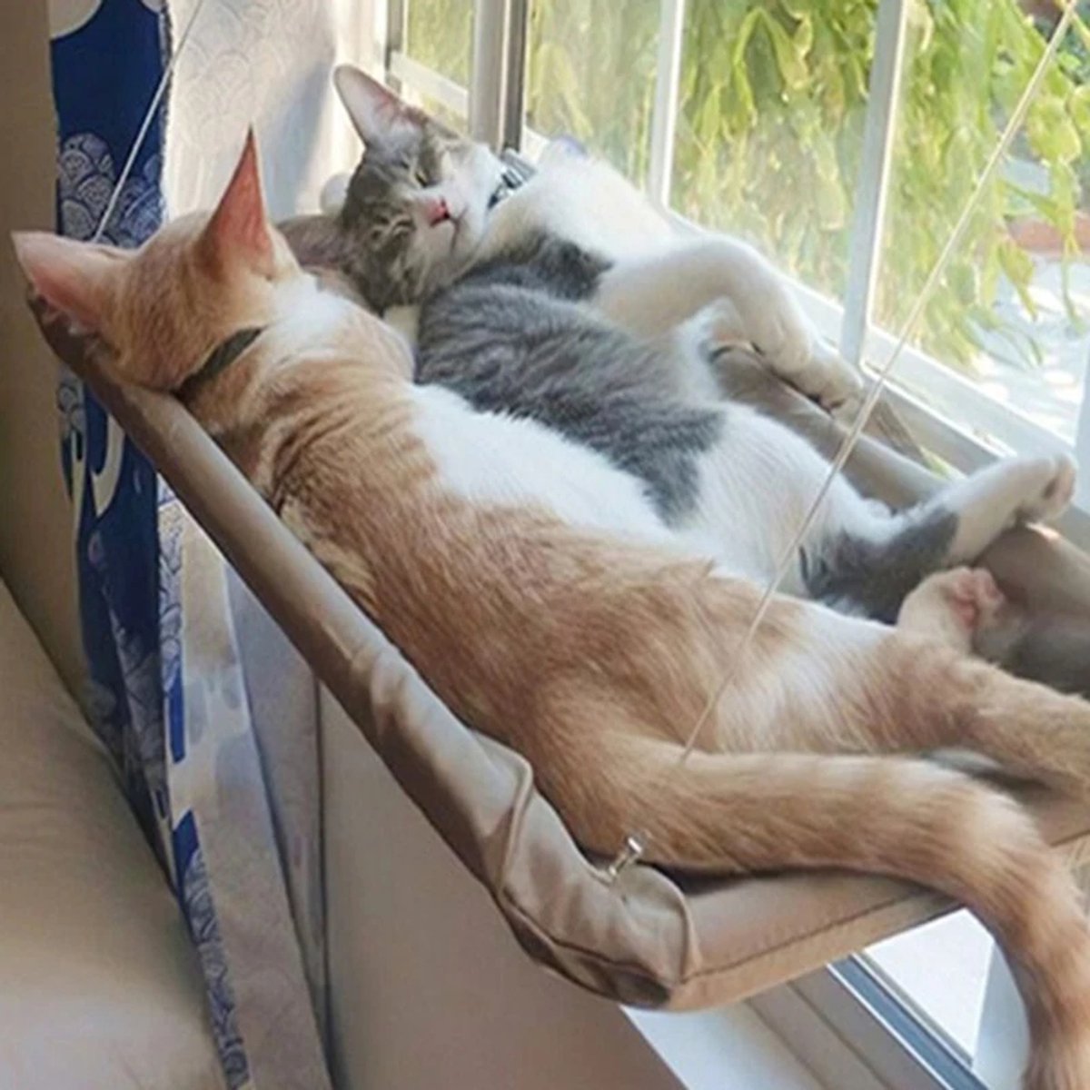 Cissé Kattenhangmat – Comfortabele Raam bed voor Katten (20KG draagkracht)