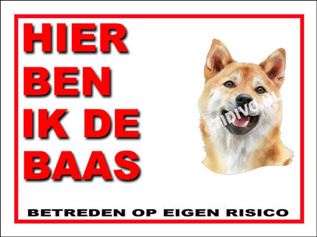 Korea Jindo Dog 2 - Met 4 Gaatjes + 4 Pluggen + 4 RVS Schroeven