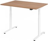 XLR 12W | 120 x 80 | Bureau réglable en hauteur électriquement - 120x80 Noyer Hauteur de table I Réglable en hauteur électriquement