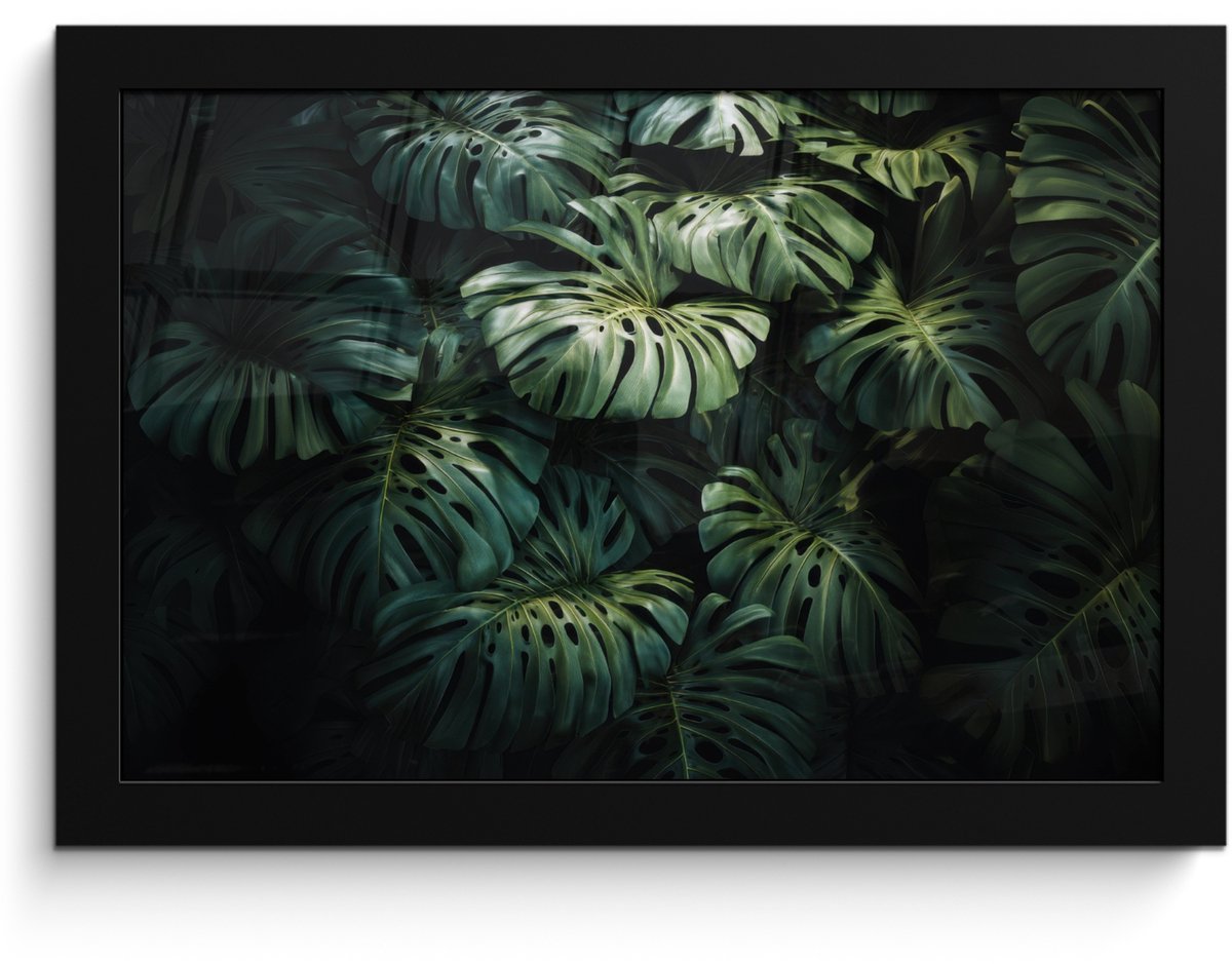 FrameYourWall Poster in lijst - Fotolijst 30x20 cm - Posters - Plant - Monstera - Lichtinval - Posterlijst zwart - Decoratie - Wanddecoratie woonkamer - Muurdecoratie slaapkamer Bladeren - Glad