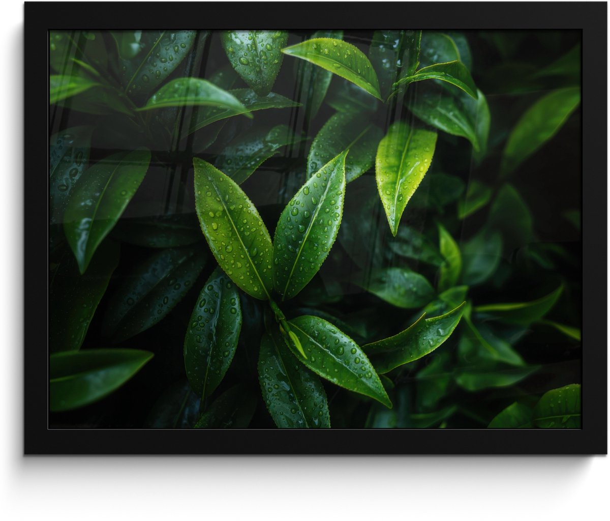 FrameYourWall Poster in lijst - Fotolijst 40x30 cm - Posters - Bladeren - Regendruppels - Licht - Groen - Posterlijst zwart - Decoratie - Wanddecoratie woonkamer - Muurdecoratie slaapkamer