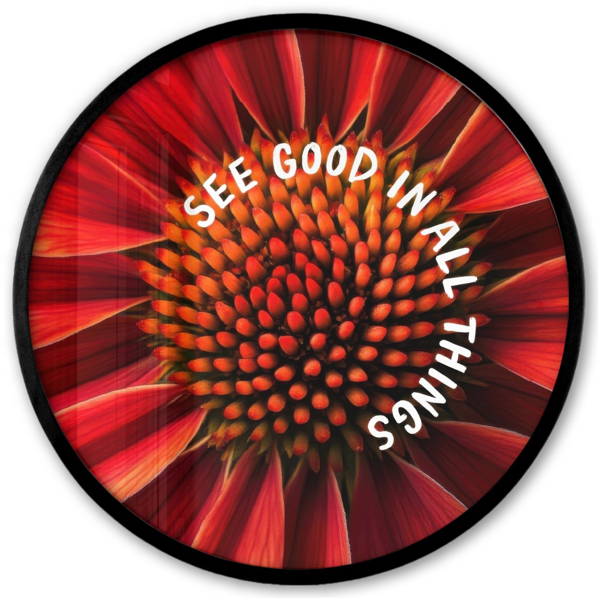 FrameYourWall Poster in lijst Rond - Fotolijst 40x40 cm - Posters - Close up - Bloem - Quote - Rood - Ronde posterlijst zwart - Decoratie - Wanddecoratie woonkamer - Muurdecoratie slaapkamer