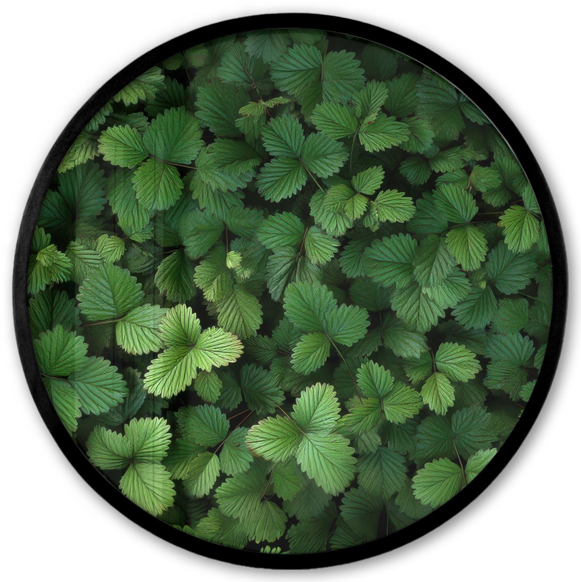 FrameYourWall Poster in lijst Rond - Fotolijst 40x40 cm - Posters - Groen - Bladeren - Kartel - Zonlicht - Ronde posterlijst zwart - Decoratie - Wanddecoratie woonkamer - Muurdecoratie slaapkamer