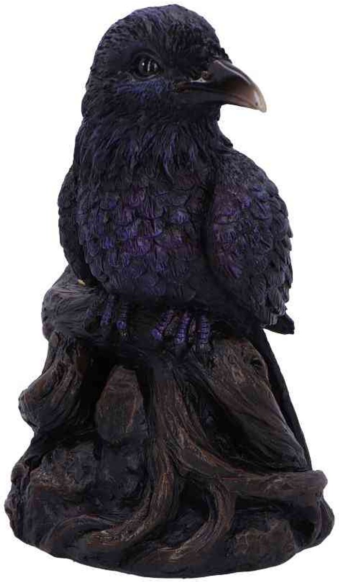 Nemesis Now - Raven Roost Backflow Wierookhouder - Zwart