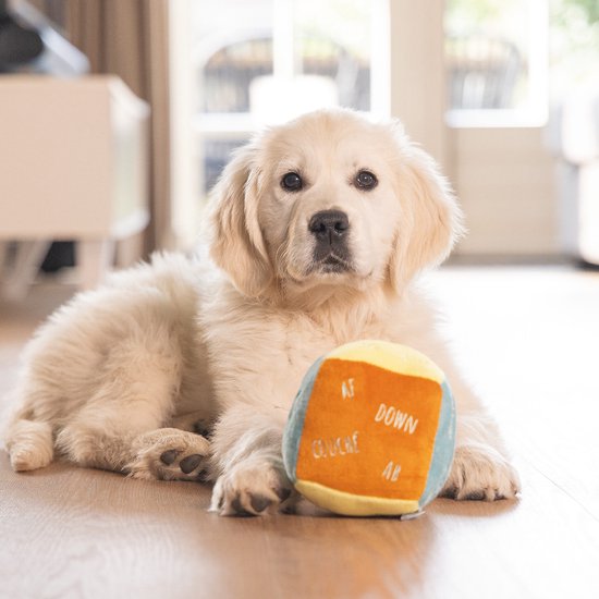 Peluche cube Beeztees Puppy