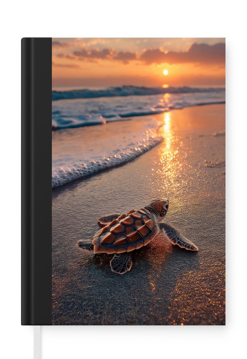 Schildpad - strand - Zonsondergang