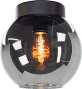 EGLO Centara Plafondlamp - E27 - Ø 20 cm - Zwart/Smoke Glas