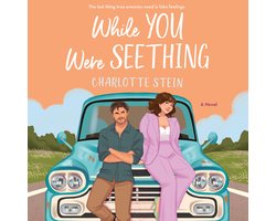 While You Were Seething