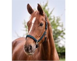 Waldhausen Perlon Halster Satin - Paardenhalster - Petrol Shetty
