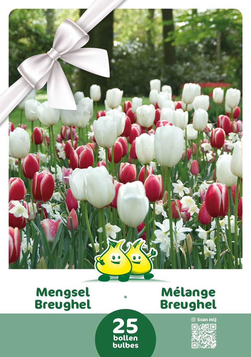 Cadeauverpakking Breughel - 25 bloembollen - geschenkverpakking bijvriendelijk - vlindervriendelijk