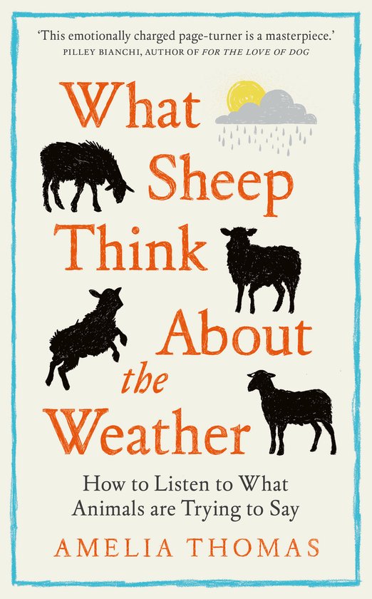 What Sheep Think About the Weather - cover
