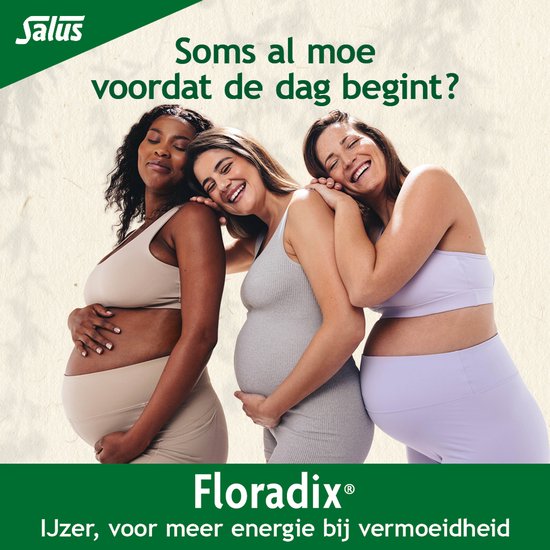 Salus Floradix IJzer-tabletten Bij vermoeidheid Voedingssupplement met ijzer 147 tabletten