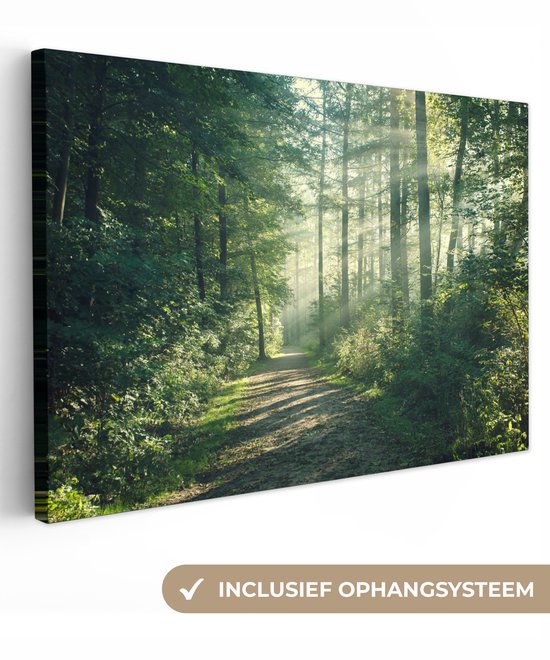 Matin d'octobre ensoleillé dans la forêt Toile 120x80 cm - Tirage photo sur Toile (Décoration murale salon / chambre) / Décoration murale Peintures sur toile