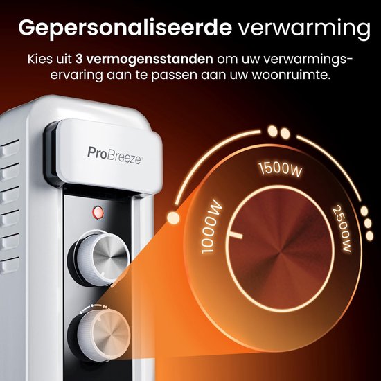 Foto: Ganeey 2500w elektrische oliegevulde radiator krachtige elektrische kachel met 11 ribben 3 warmtestanden 24 uurs timer verstelbare thermostaat veiligheidsuitschakeling draagbare wielen ideaal voor woonkamer slaapkamer badkamer en kantoor