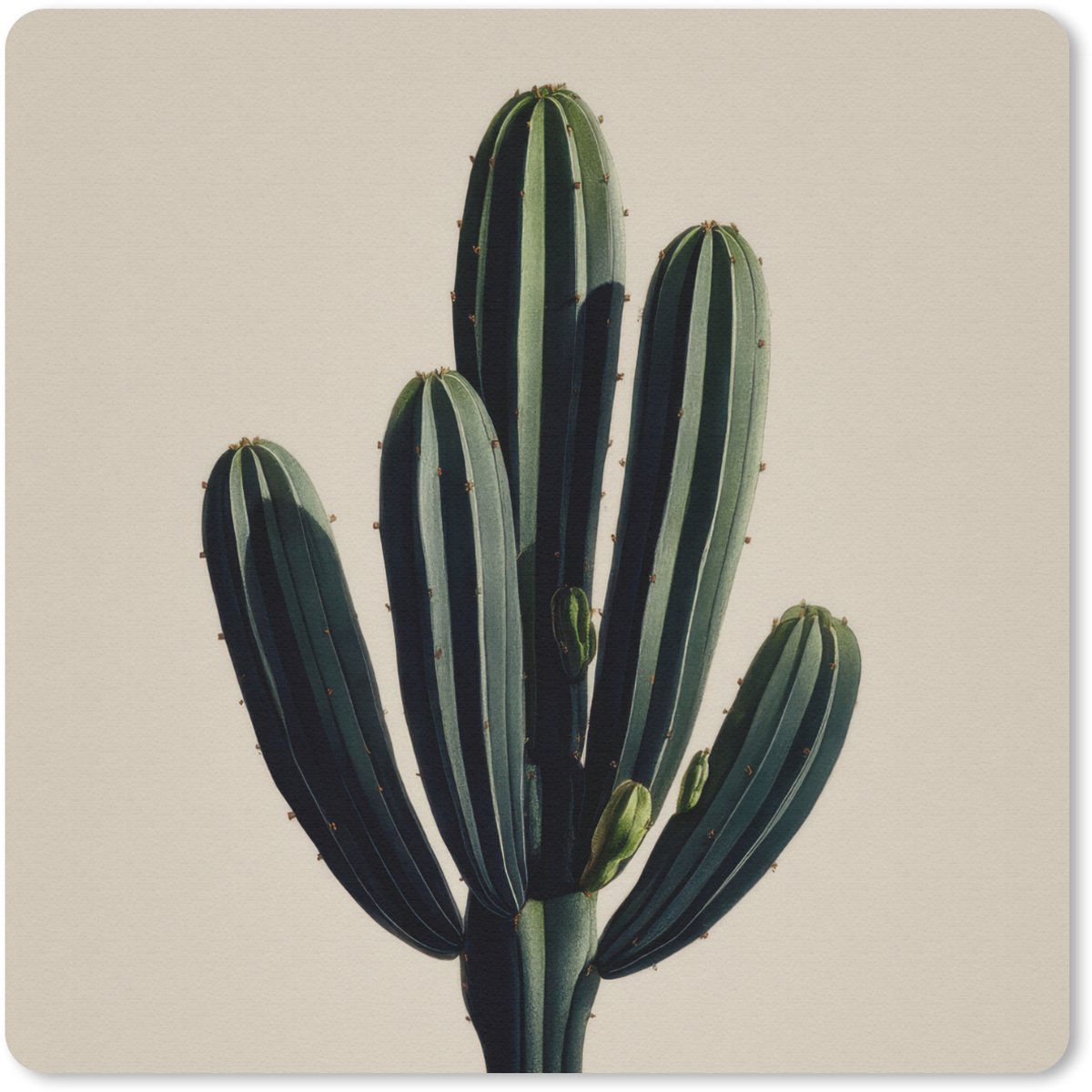 Muismat 30x30 cm - Mousepad Cactus - Subtiel - Groen - Muismatten