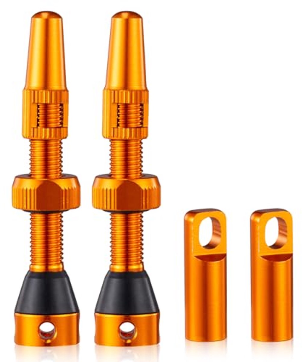 Presta Tubeless Ventielen voor Fietsen - 2 Stuks (44 mm)