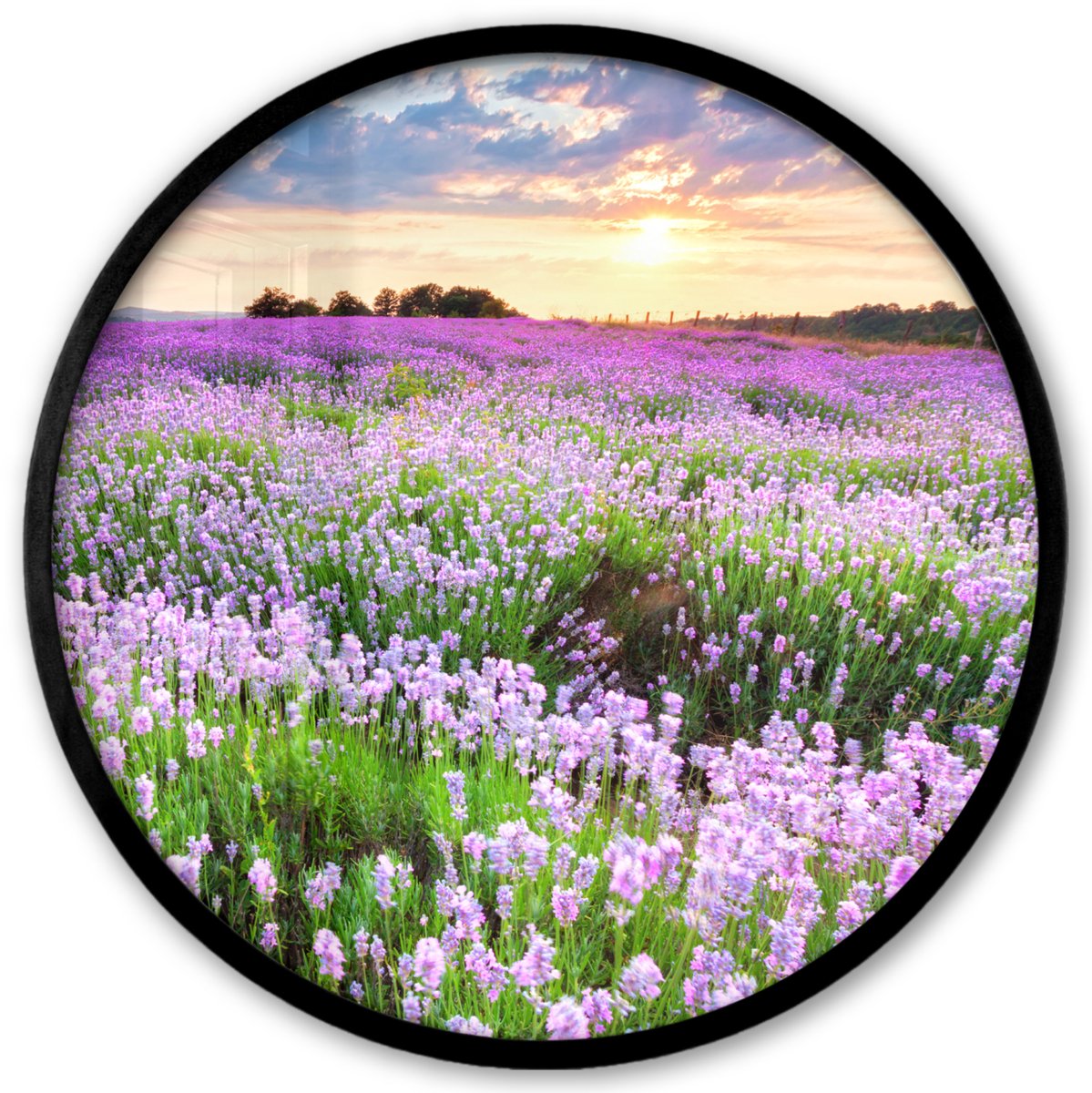 FrameYourWall Poster in lijst Rond - Fotolijst 40x40 cm - Posters - Lavendel - Bloemen - Zonsondergang - Paars - Weide - Ronde posterlijst zwart - Decoratie - Wanddecoratie woonkamer - Muurdecoratie slaapkamer