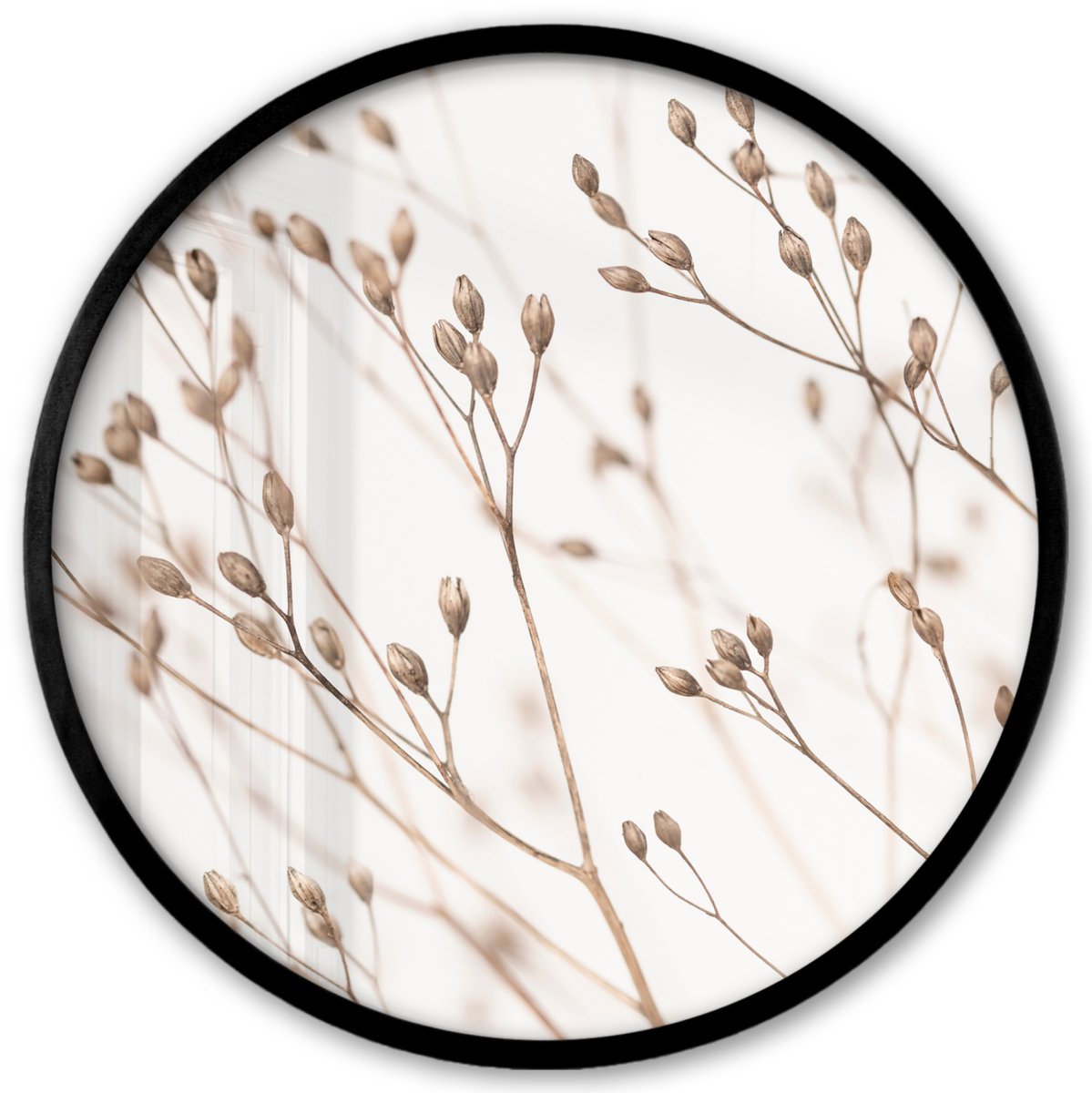 FrameYourWall Poster in lijst Rond - Fotolijst 40x40 cm - Posters - Natuur - Planten - Tak - Wit - Bruin - Droogbloemen - Ronde posterlijst zwart - Decoratie - Wanddecoratie woonkamer - Muurdecoratie slaapkamer Multicolor