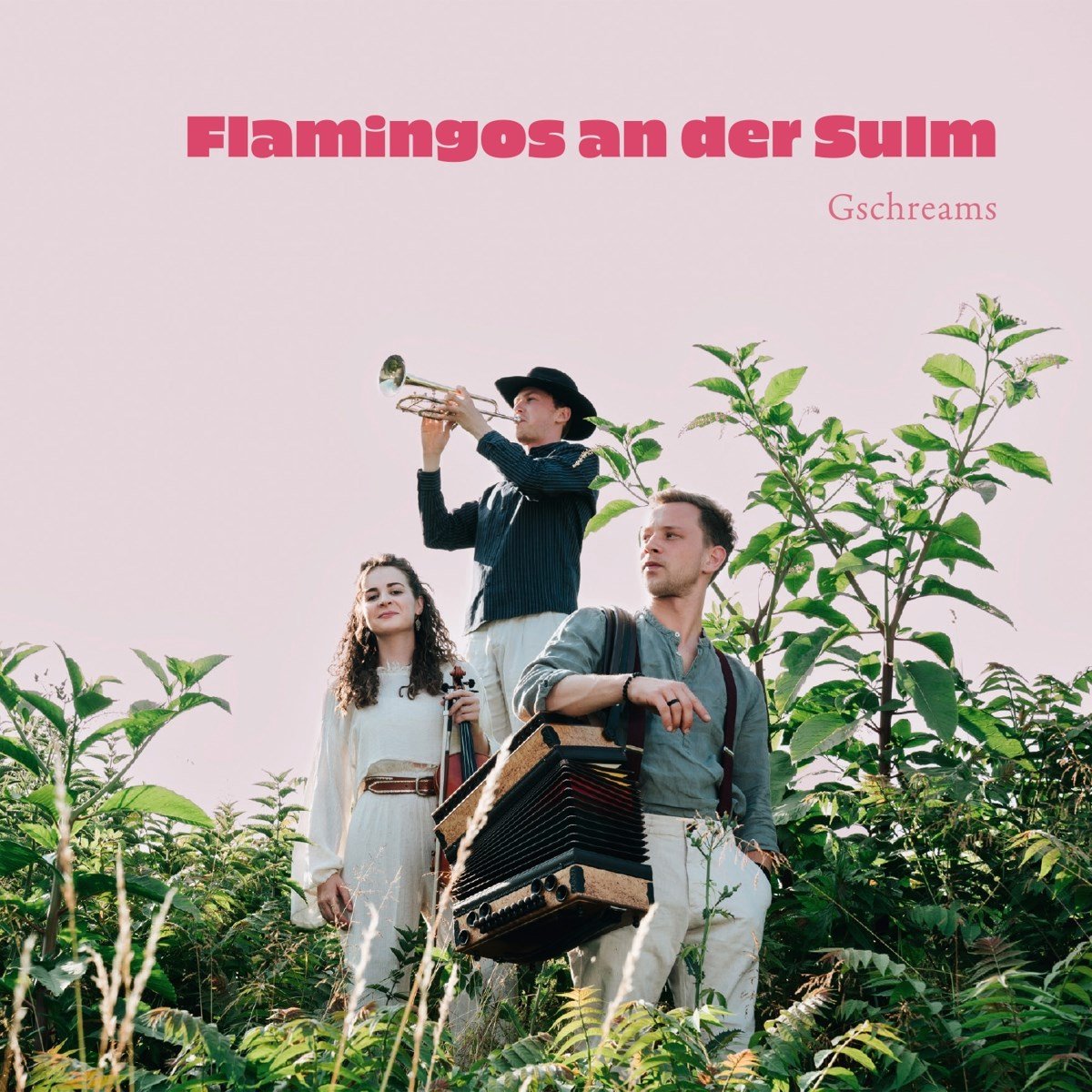 Gschreams - Flamingos An Der Sulm (CD)