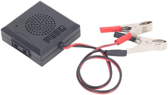 40V naar 230V AC omvormer, echte sinus • DWE