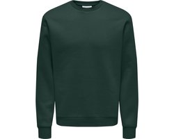 ONLY & SONS - ONSCERES CREW NECK NOOS Heren Trui